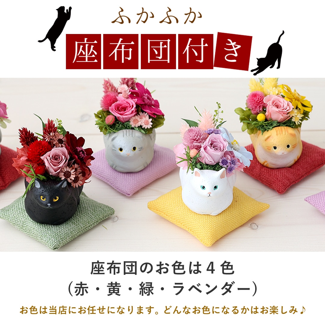 プリザーブドフラワー くつろぎねこ 「白猫」 枯れない ブリザード フラワー アレンジメント 花 プレゼント ギフト 誕生日 結婚祝い 結婚記念日 退職祝い お祝い おしゃれ かわいい ねこ 猫 和風 猫好き 白猫