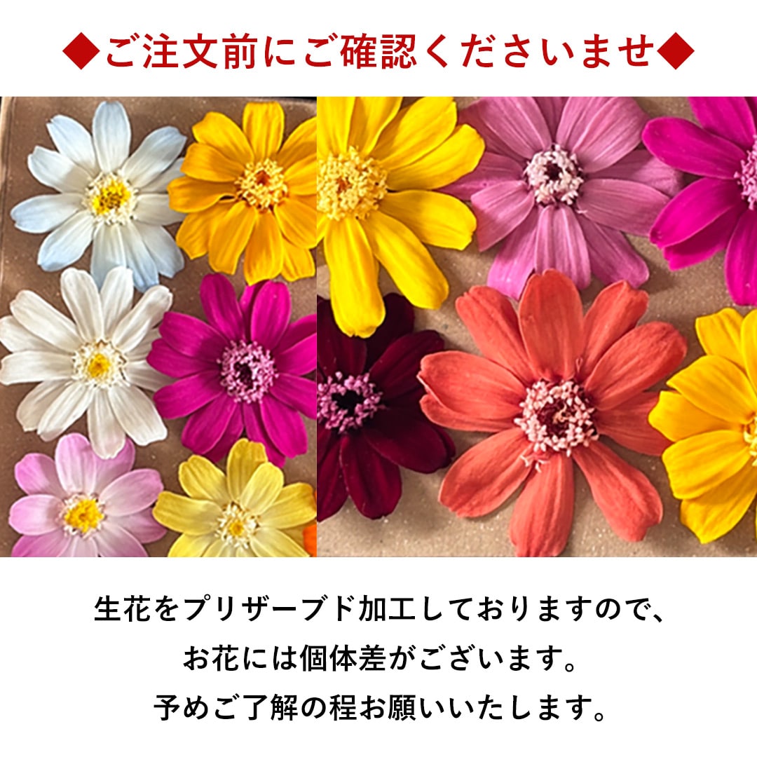 プリザーブドフラワー くつろぎねこ 「白猫」 枯れない ブリザード フラワー アレンジメント 花 プレゼント ギフト 誕生日 結婚祝い 結婚記念日 退職祝い お祝い おしゃれ かわいい ねこ 猫 和風 猫好き 白猫