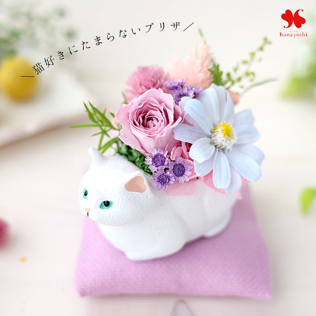 プリザーブドフラワー くつろぎねこ 「白猫」 枯れない ブリザード フラワー アレンジメント 花 プレゼント ギフト 誕生日 結婚祝い 結婚記念日 退職祝い お祝い おしゃれ かわいい ねこ 猫 和風 猫好き 白猫
