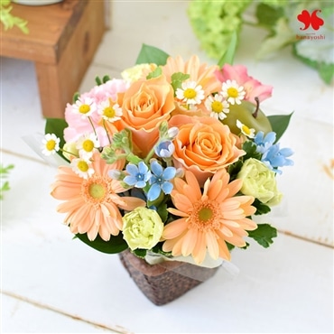 [冷蔵便]でお届け 季節のおまかせ ロゼッタアレンジ 「パステルMIX」 生花 フラワー アレンジメント 花 プレゼント ギフト 誕生日 結婚祝い 結婚記念日 退職祝い お祝い おしゃれ かわいい
