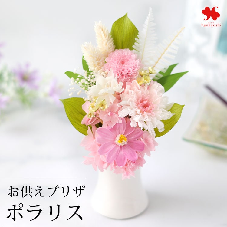 プリザーブドフラワー ポラリス（ジニア） 「ピンク」 枯れない ブリザード フラワー アレンジメント 花 プレゼント ギフト お供え お悔み 供花 仏花 枕花 お葬式 告別式 法事 命日 月命日 初七日 四十九日 一周忌 三回忌 七回忌 法要