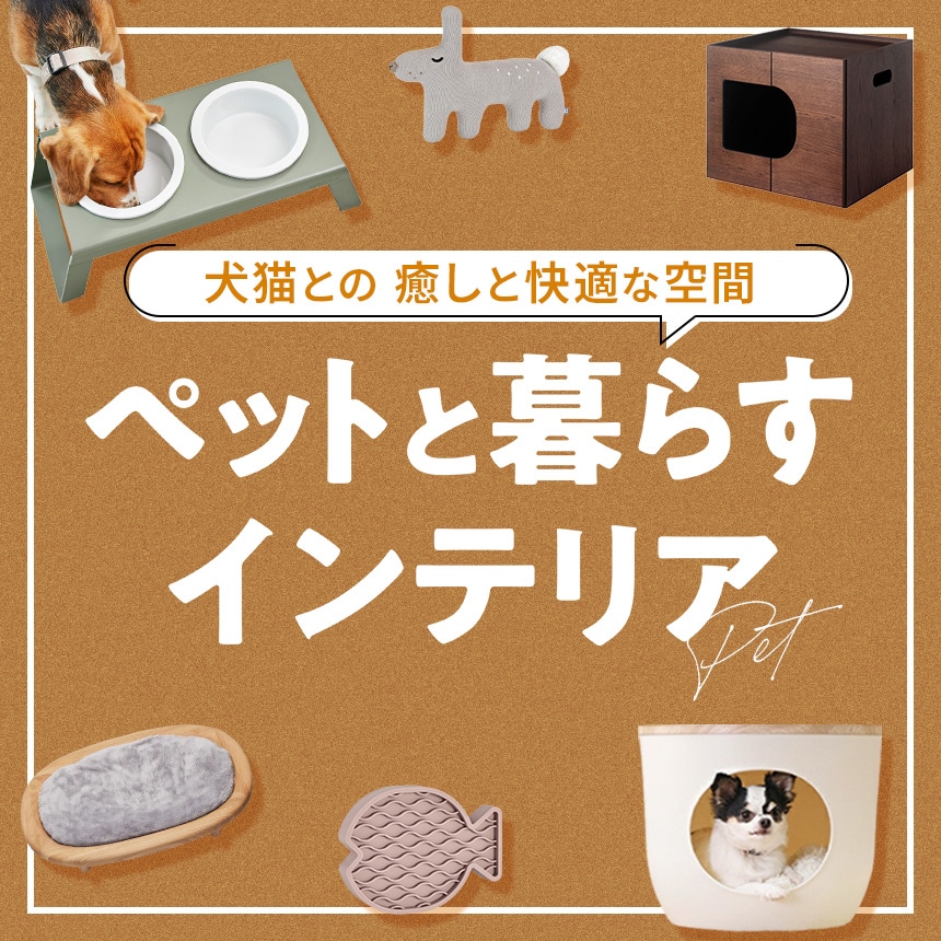 犬猫との 癒しと快適な空間ペットと暮らすインテリア